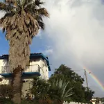 Wavin' Trees Ericeira