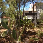 Wavin' Trees Holiday home