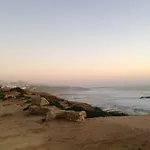 Wavin' Trees إيريسييرا