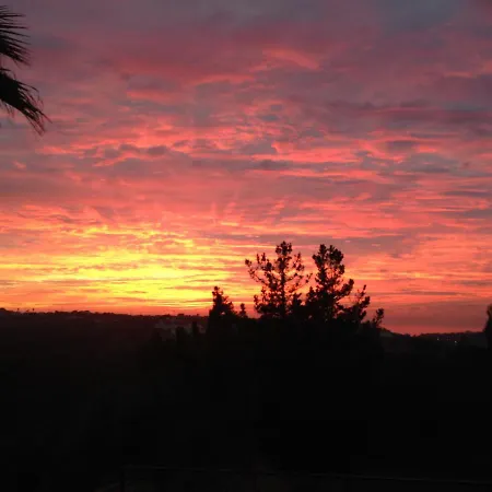 Wavin' Trees Дом отдыха