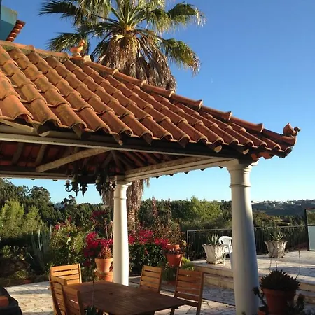 Wavin' Trees * Ericeira