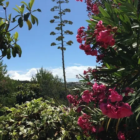 Wavin' Trees Holiday home Ericeira