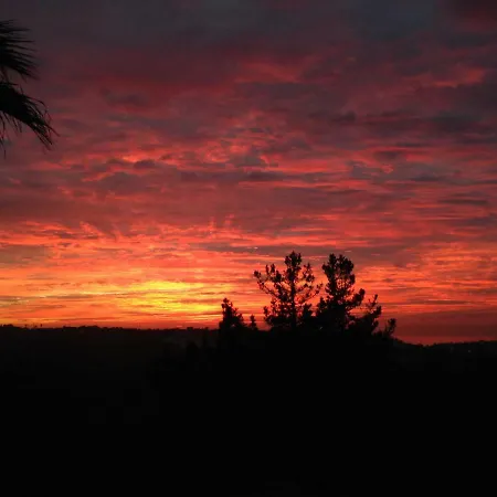 Wavin' Trees * Эрисейра