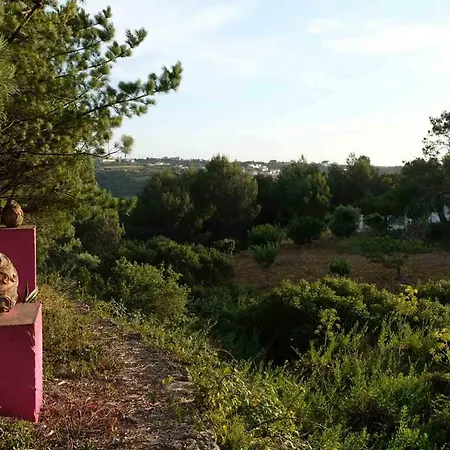 Дом отдыха Wavin' Trees