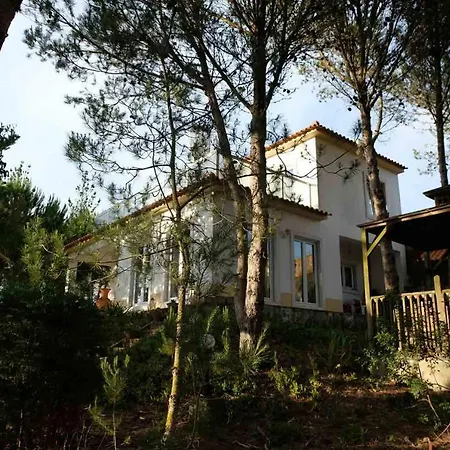 Wavin' Trees Дом отдыха