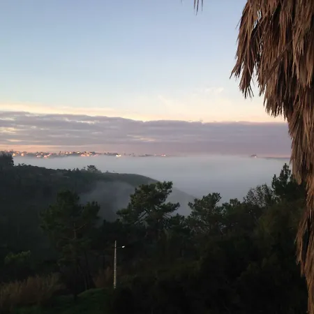 Wavin' Trees Дом отдыха *