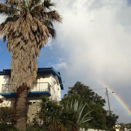 Wavin' Trees Эрисейра