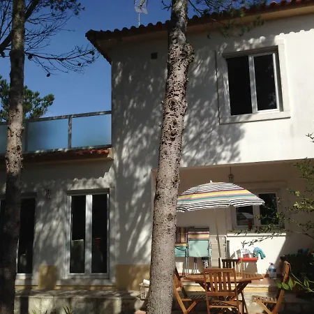 Дом отдыха Wavin' Trees *