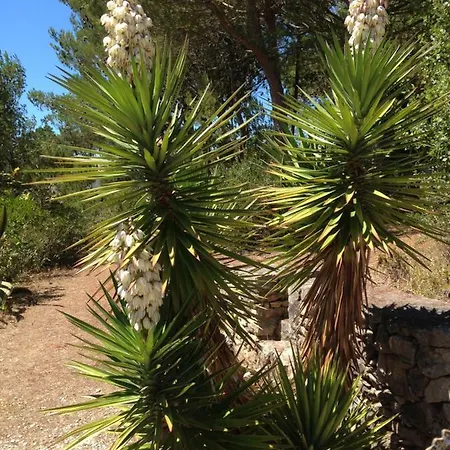 Дом отдыха Wavin' Trees