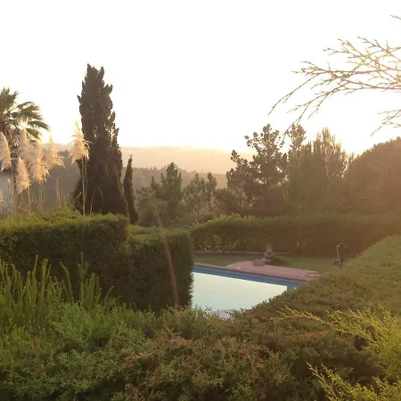 Wavin' Trees Дом отдыха Эрисейра