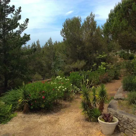 Wavin' Trees Эрисейра