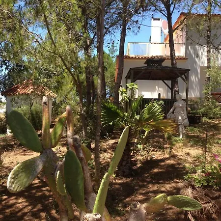 Wavin' Trees Дом отдыха