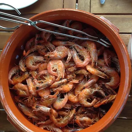 Дом отдыха Wavin' Trees Эрисейра