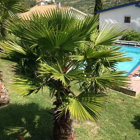 Wavin' Trees *
