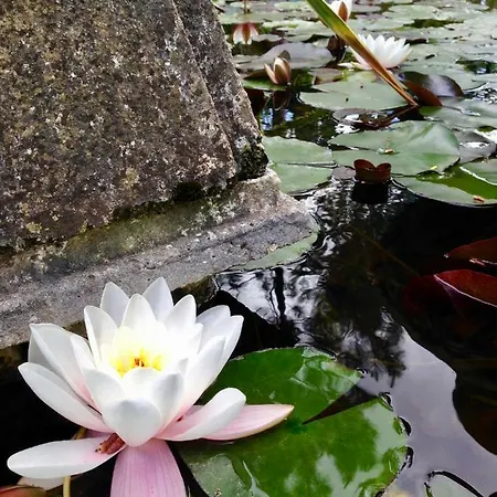 Дом отдыха Wavin' Trees *