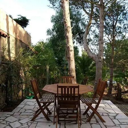 Wavin' Trees Дом отдыха Эрисейра