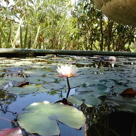 Дом отдыха Wavin' Trees *