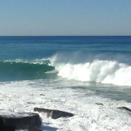 Wavin' Trees Дом отдыха *