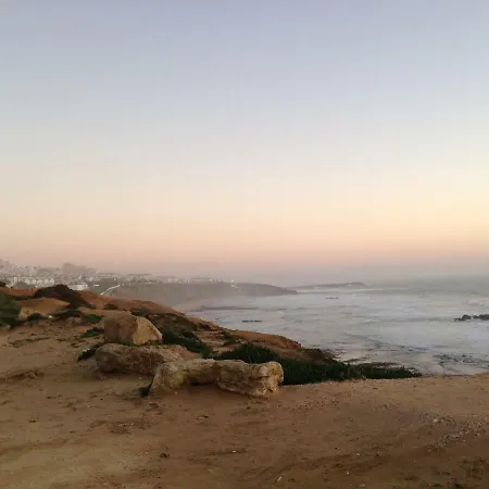 Wavin' Trees אריסרייה