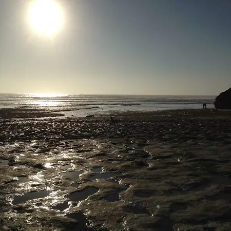 Wavin' Trees Дом отдыха *