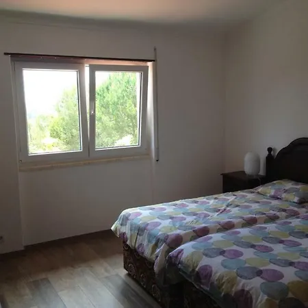 Wavin' Trees Эрисейра