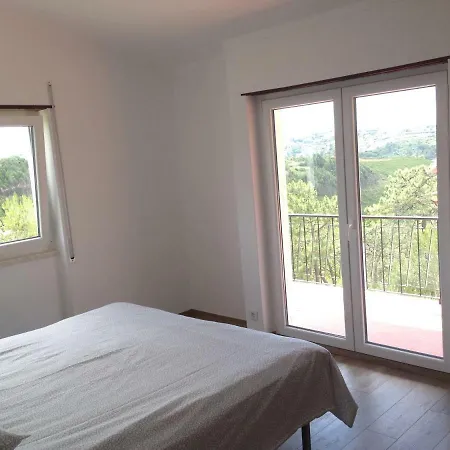 Wavin' Trees Эрисейра