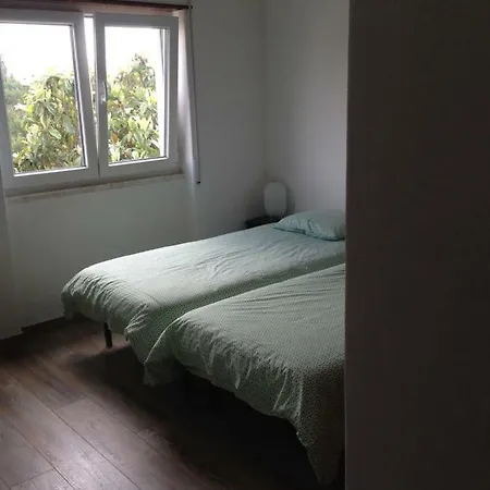 Wavin' Trees Дом отдыха