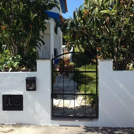 Wavin' Trees * Эрисейра