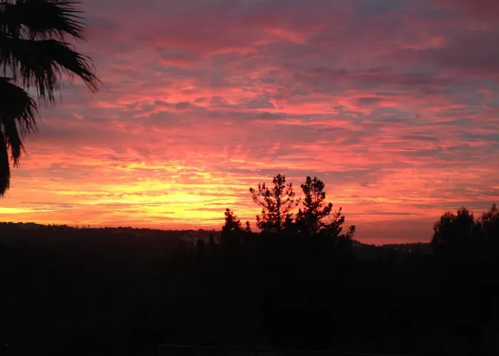 Wavin' Trees Σπίτι διακοπών