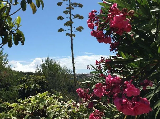 Wavin' Trees Σπίτι διακοπών Ericeira