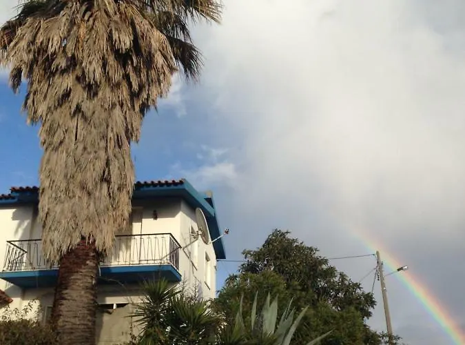Wavin' Trees Ericeira