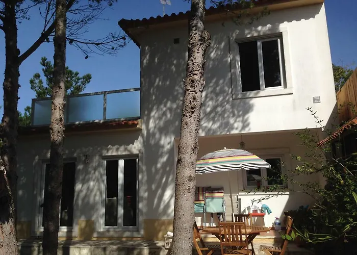 Σπίτι διακοπών Wavin' Trees *