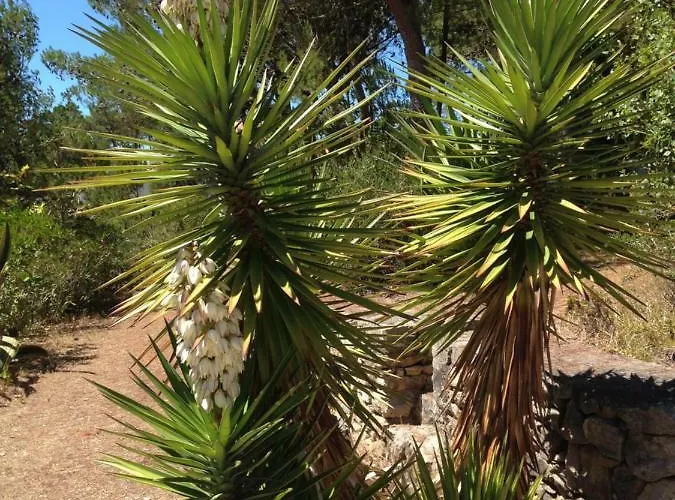 Σπίτι διακοπών Wavin' Trees
