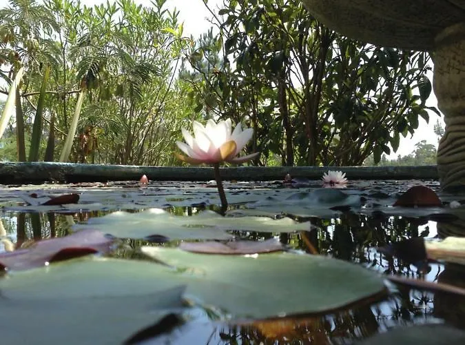 Wavin' Trees Σπίτι διακοπών Ericeira