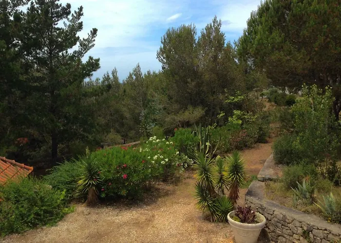 Wavin' Trees Ericeira