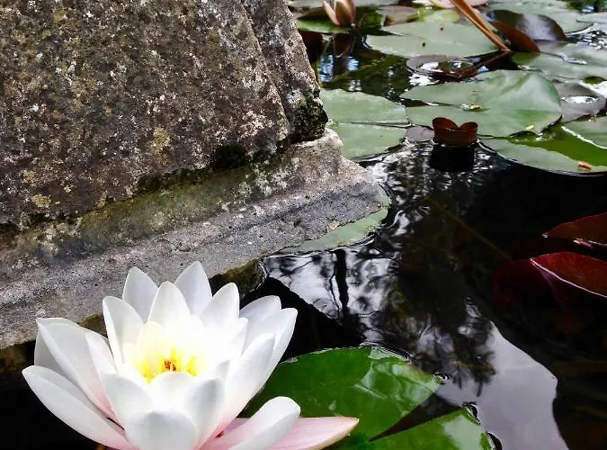 Σπίτι διακοπών Wavin' Trees *