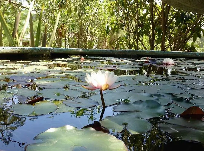 Σπίτι διακοπών Wavin' Trees *