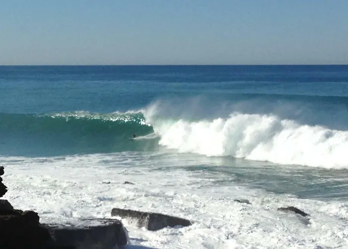 Wavin' Trees Σπίτι διακοπών *