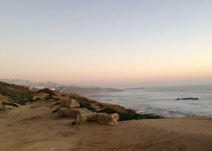 Wavin' Trees Ericeira
