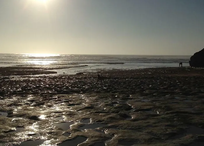 Wavin' Trees Σπίτι διακοπών *