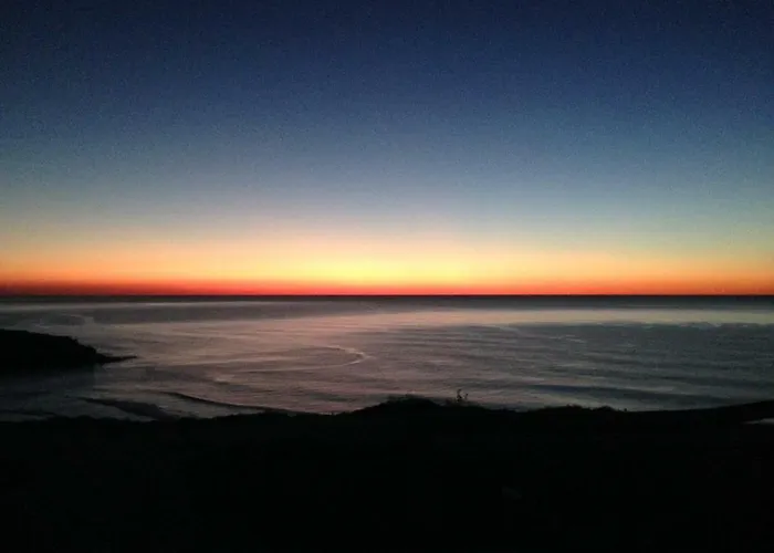 Wavin' Trees Ericeira