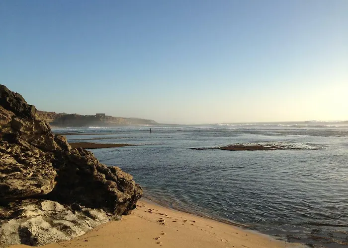 Wavin' Trees Ericeira