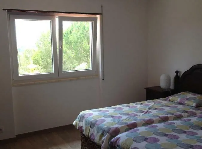 Wavin' Trees Ericeira