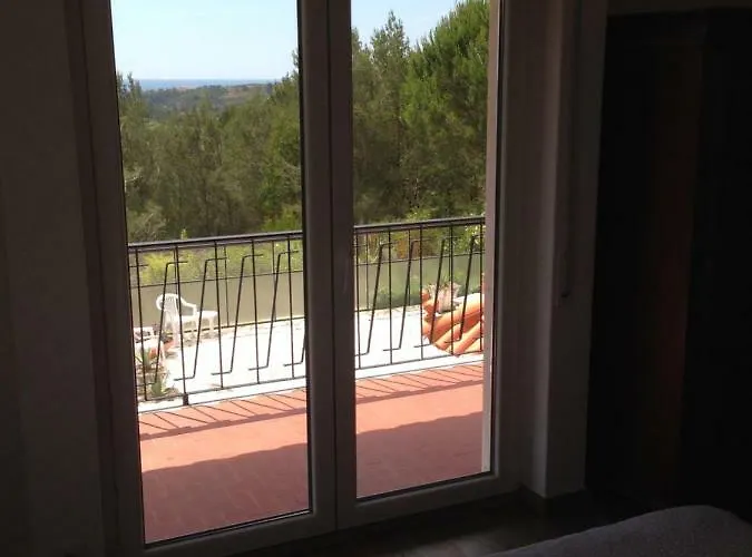 Wavin' Trees * Ericeira