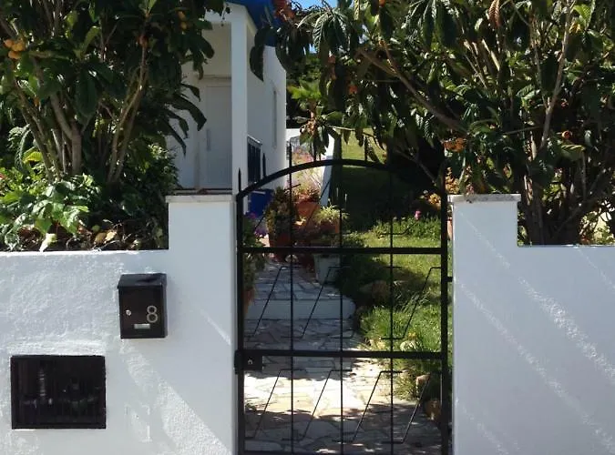 Wavin' Trees * Ericeira