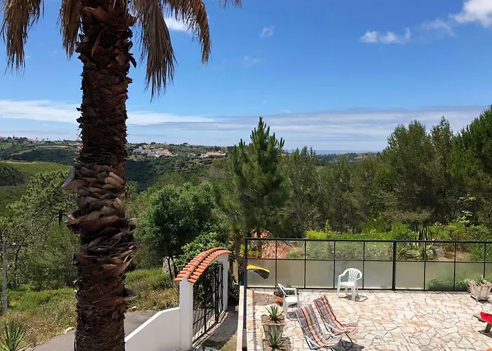 Wavin' Trees Ericeira